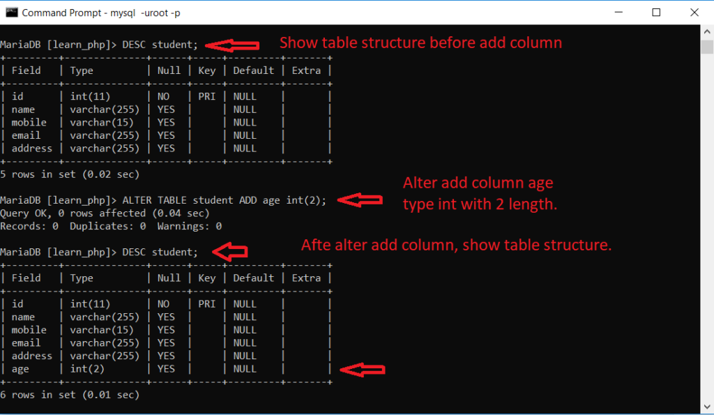  Add column in table command