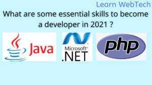 Read more about the article What are some essential skills to become a developer in 2021