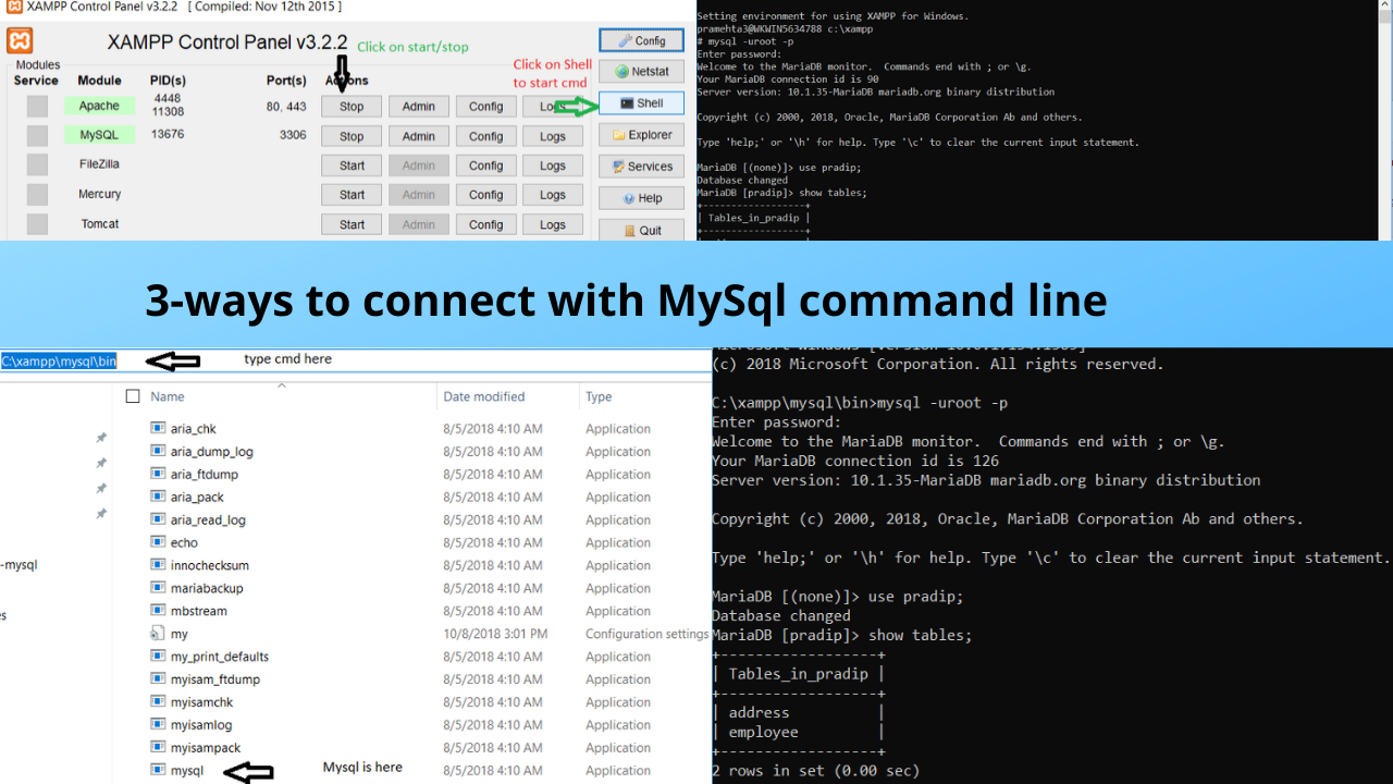Read more about the article phpmyadmin command line| xampp mysql | mysql command line | mysql query in php