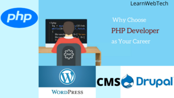 Why Choose PHP Developer As Your Career