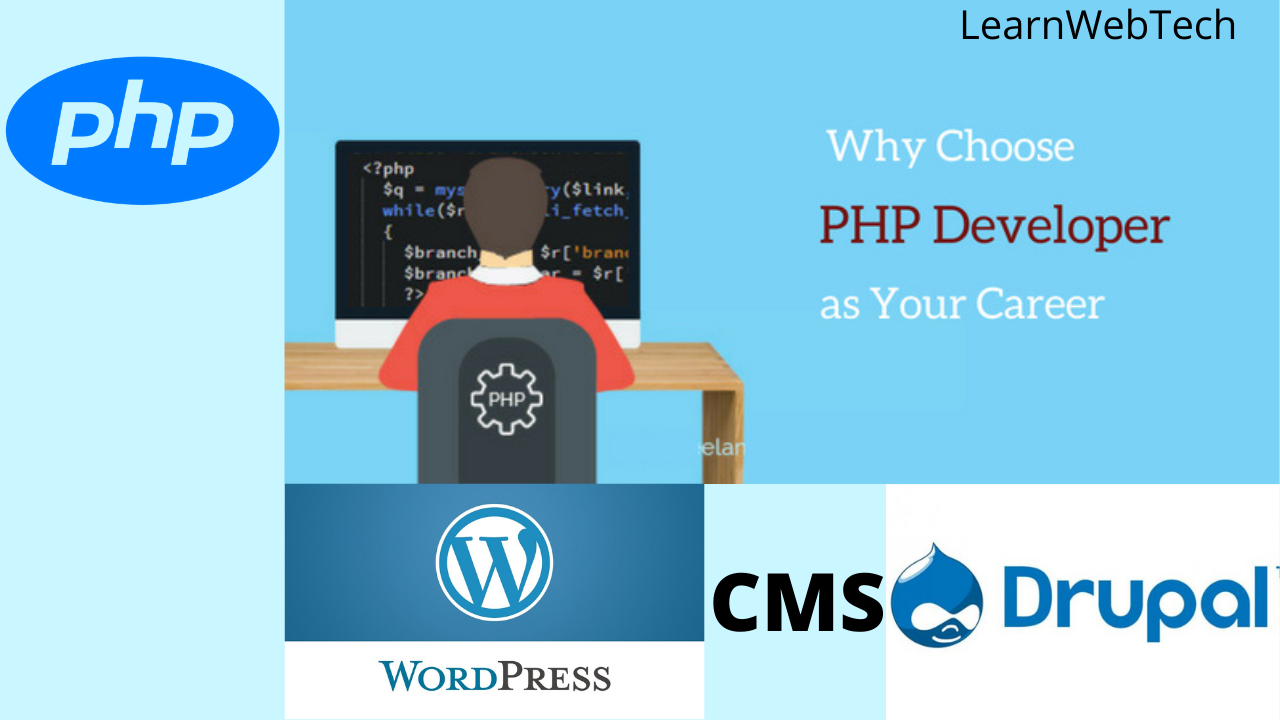 Read more about the article Why Choose PHP Developer As Your Career